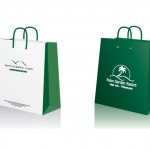 Túi giấy shopping