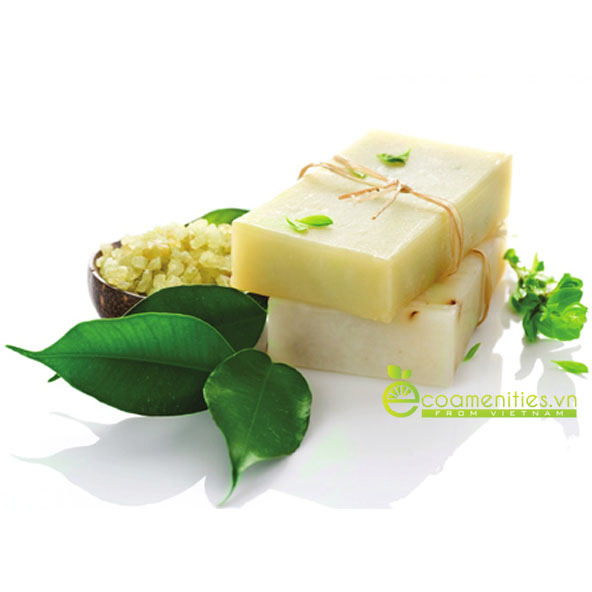 Xà phòng trong khách sạn Tiêu chuẩn và Xu hướng