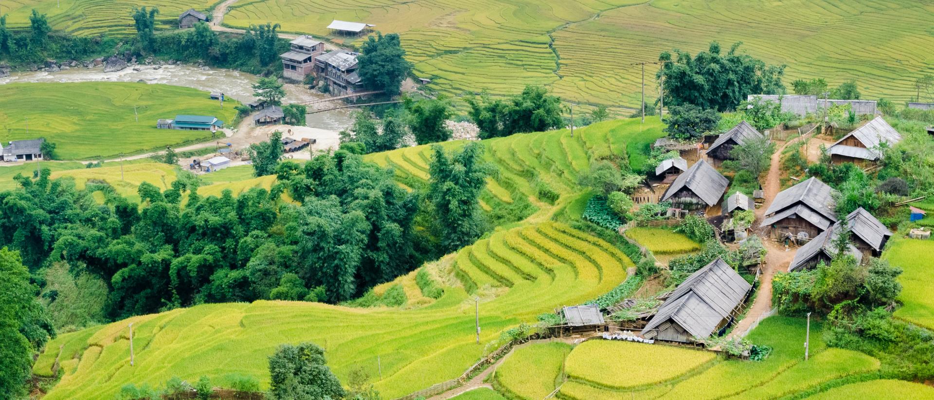 Làng Dao ( Bản Tả Phìn )