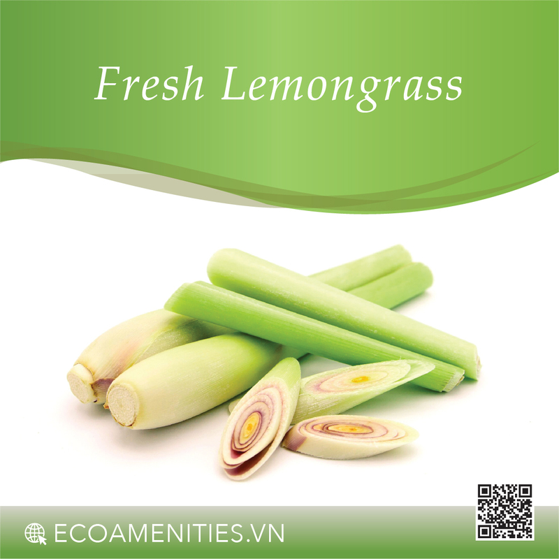 Danh mục mùi hương dùng trong mỹ phẩm