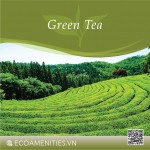 ✅ Hương Trà Xanh đến từ Pháp