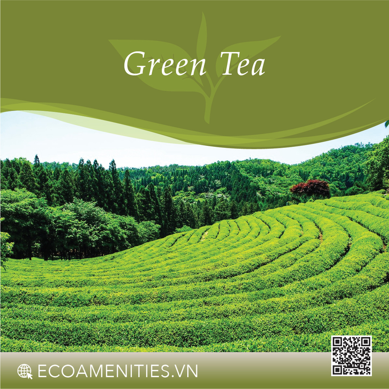 ✅ Hương Trà Xanh đến từ Pháp