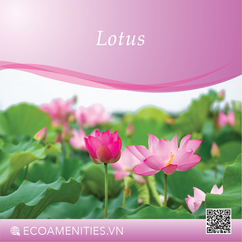 Danh mục mùi hương dùng trong mỹ phẩm