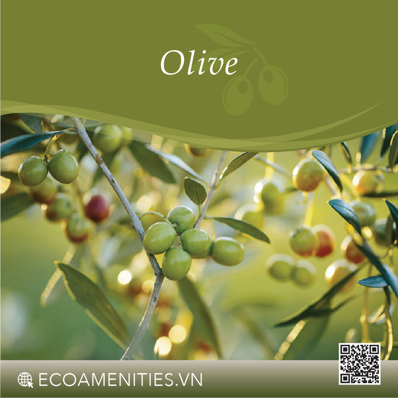 Danh mục mùi hương dùng trong mỹ phẩm