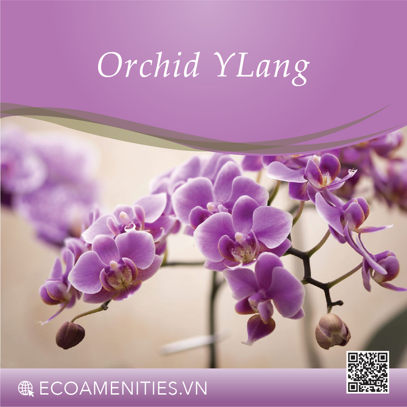 Danh mục mùi hương dùng trong mỹ phẩm