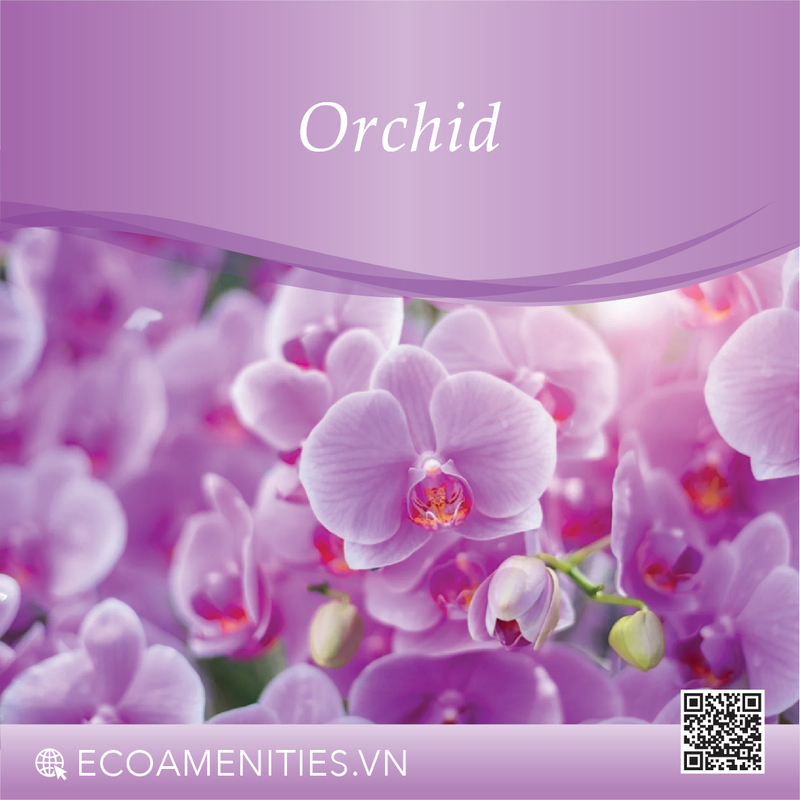 ✅ Tinh dầu Hoa Lan đến từ Pháp