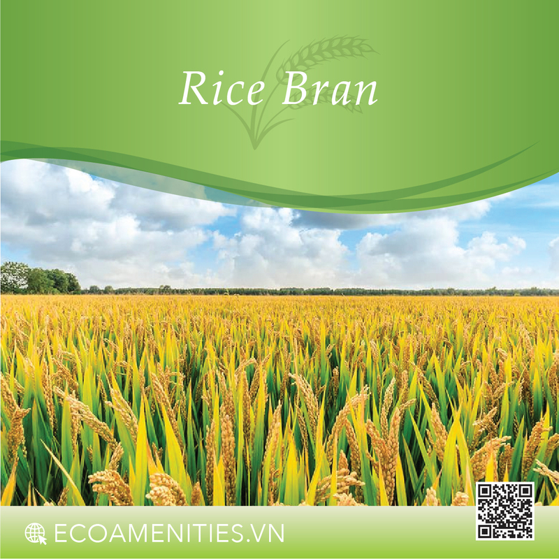 ✅ Tinh dầu Cám Gạo đến từ Pháp