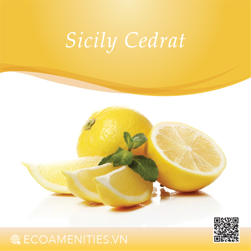 ✅ Hương Cam Cũ đến từ Pháp