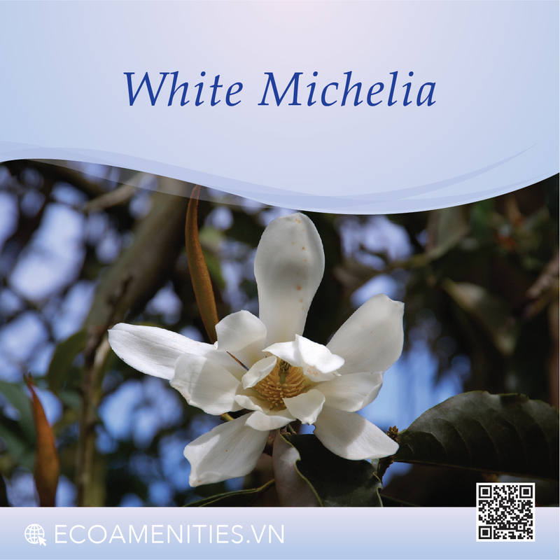 Danh mục mùi hương dùng trong mỹ phẩm