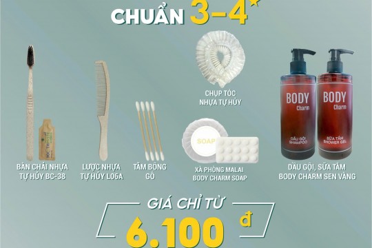 Lựa Chọn Đồ Dùng Tiêu Hao (Amenities) Cho Khách Sạn, Resort, Căn Hộ Và Bệnh Viện: Từ Bình Dân Đến Cao Cấp